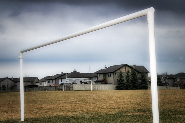 榜上的位置 榜上的位置