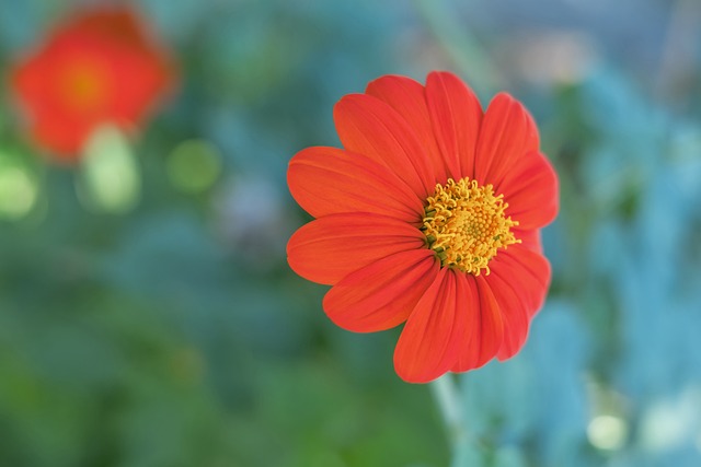 通过这场颠 通过这场颠