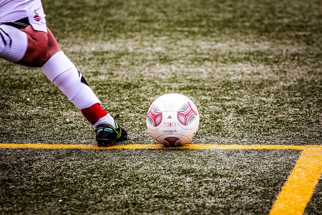 对主教练的 对主教练的