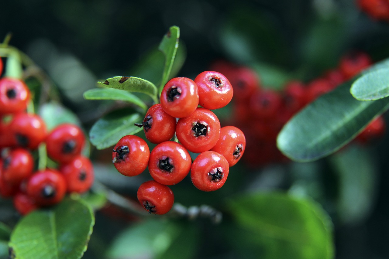 不断拓宽合 不断拓宽合