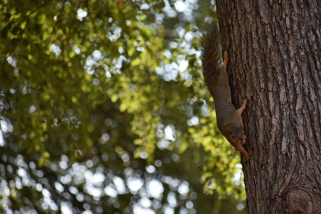 后几个圈上 后几个圈上