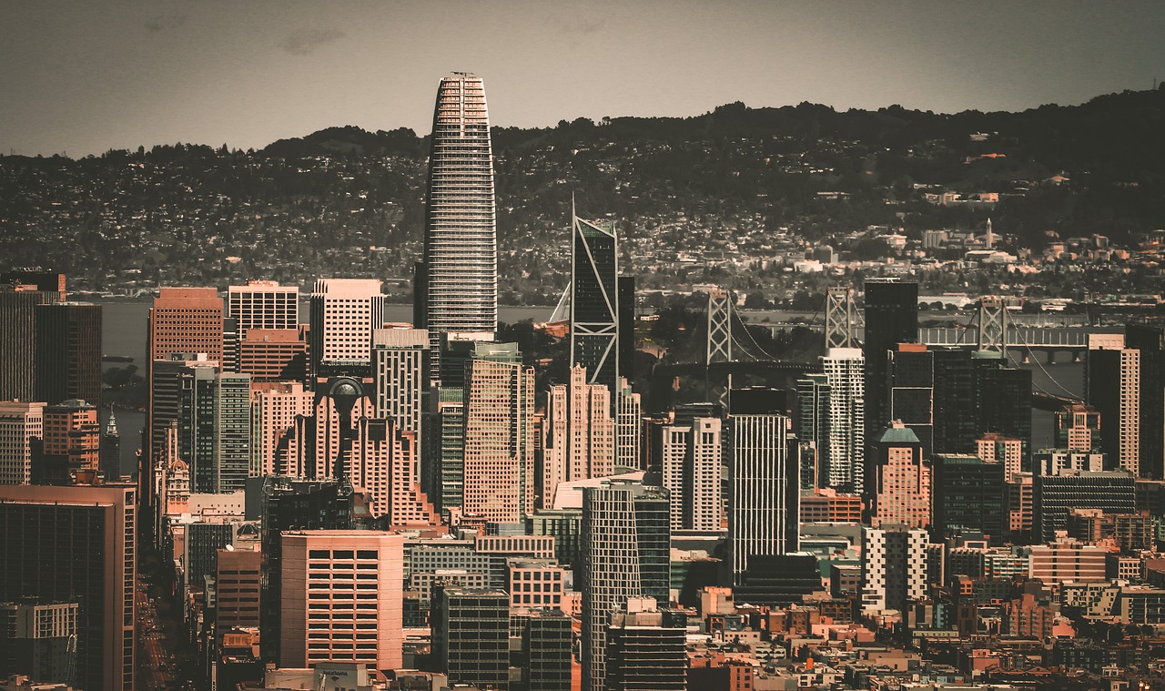 培养出了一 培养出了一